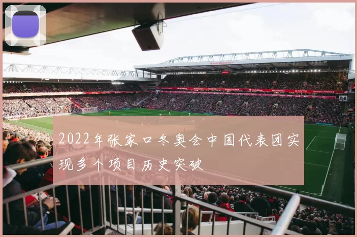 2022年张家口冬奥会中国代表团实现多个项目历史突破