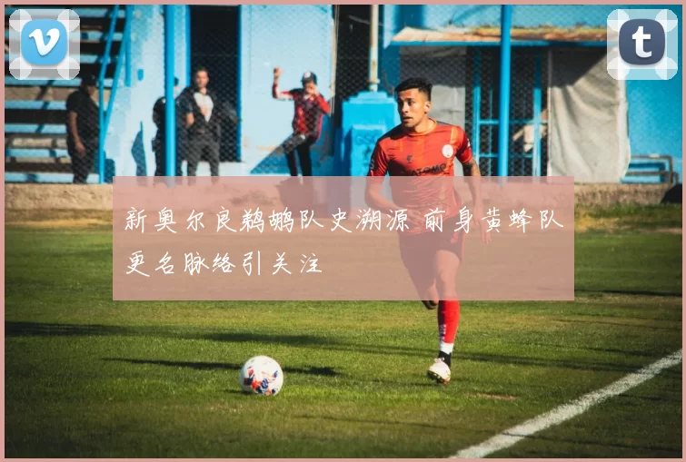 新奥尔良鹈鹕队史溯源 前身黄蜂队更名脉络引关注