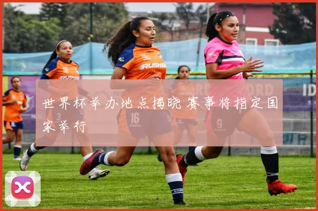 世界杯举办地点揭晓 赛事将指定国家举行