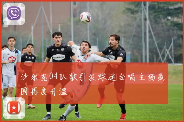 沙尔克04队歌引发球迷合唱主场氛围再度升温